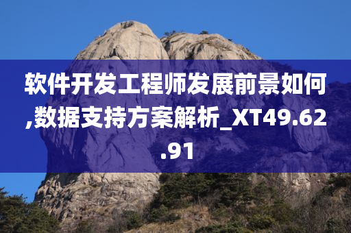 软件开发工程师发展前景如何,数据支持方案解析_XT49.62.91