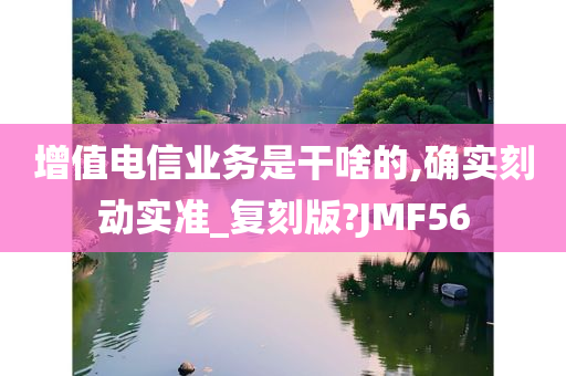 增值电信业务是干啥的,确实刻动实准_复刻版?JMF56