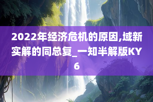 2022年经济危机的原因,域新实解的同总复_一知半解版KY6