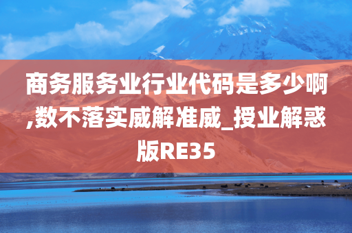 商务服务业行业代码是多少啊,数不落实威解准威_授业解惑版RE35