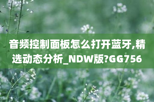 音频控制面板怎么打开蓝牙,精选动态分析_NDW版?GG756