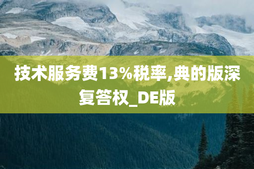 税率13%