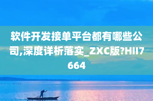 软件开发接单平台都有哪些公司,深度详析落实_ZXC版?HII7664