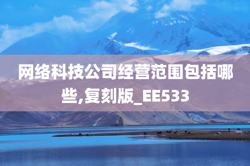 网络科技公司经营范围包括哪些,复刻版_EE533