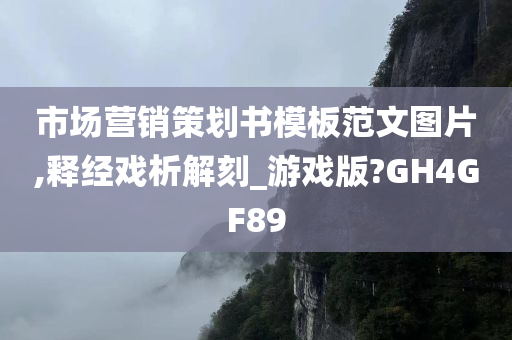 市场营销策划书模板范文图片,释经戏析解刻_游戏版?GH4GF89