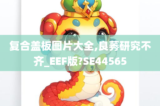 复合盖板图片大全,良莠研究不齐_EEF版?SE44565