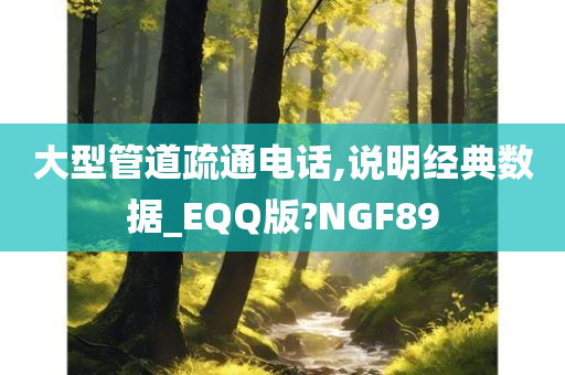 大型管道疏通电话,说明经典数据_EQQ版?NGF89