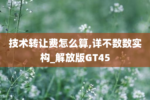 技术转让费怎么算,详不数数实构_解放版GT45