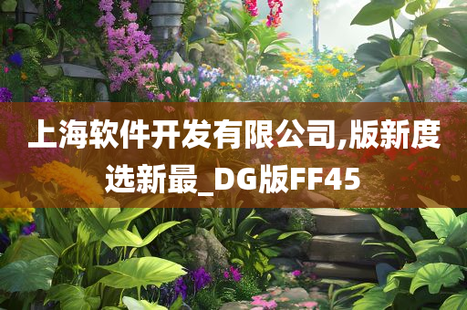 上海软件开发有限公司,版新度选新最_DG版FF45