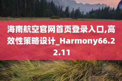 海南航空官网首页登录入口,高效性策略设计_Harmony66.22.11