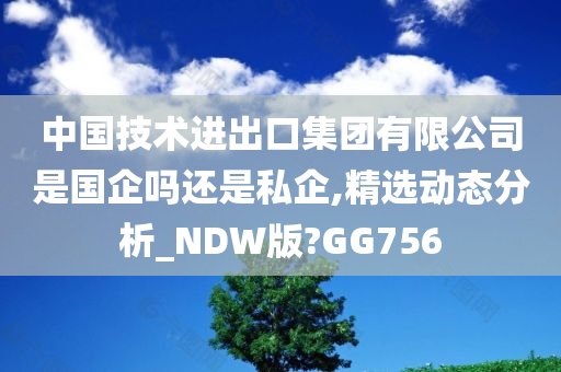 中国技术进出口集团有限公司是国企吗还是私企,精选动态分析_NDW版?GG756