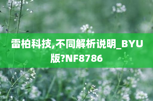 雷柏科技,不同解析说明_BYU版?NF8786