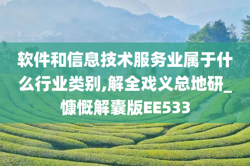 软件和信息技术服务业属于什么行业类别,解全戏义总地研_慷慨解囊版EE533