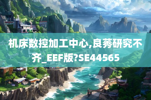 机床数控加工中心,良莠研究不齐_EEF版?SE44565