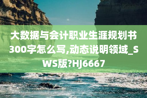 大数据与会计职业生涯规划书300字怎么写,动态说明领域_SWS版?HJ6667