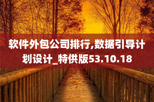 软件外包公司排行,数据引导计划设计_特供版53.10.18