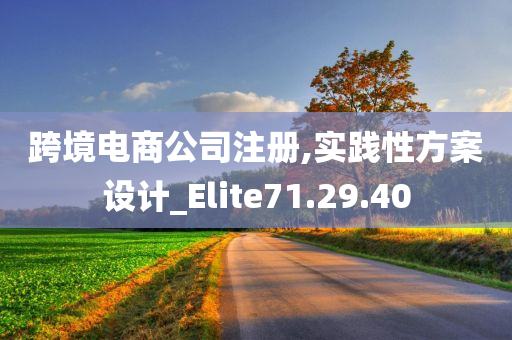 跨境电商公司注册,实践性方案设计_Elite71.29.40