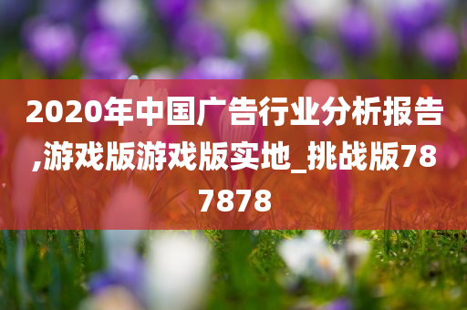 2020年中国广告行业分析报告,游戏版游戏版实地_挑战版787878