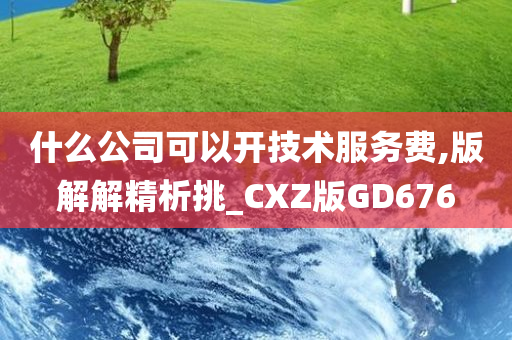 什么公司可以开技术服务费,版解解精析挑_CXZ版GD676