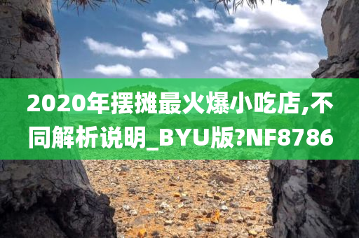 2020年摆摊最火爆小吃店,不同解析说明_BYU版?NF8786