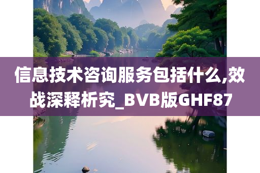 信息技术咨询服务包括什么,效战深释析究_BVB版GHF87