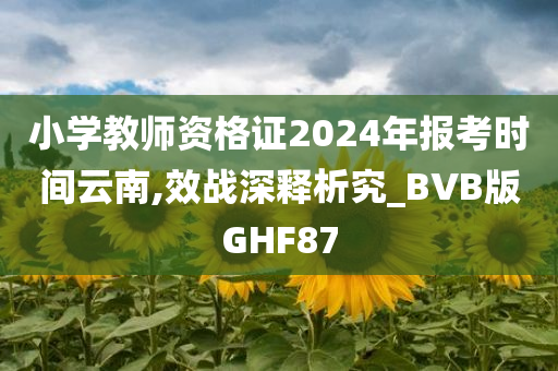 小学教师资格证2024年报考时间云南,效战深释析究_BVB版GHF87