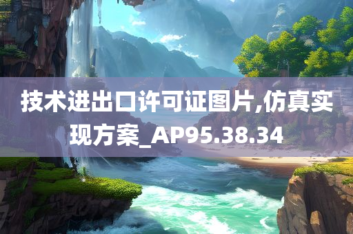 技术进出口许可证图片,仿真实现方案_AP95.38.34