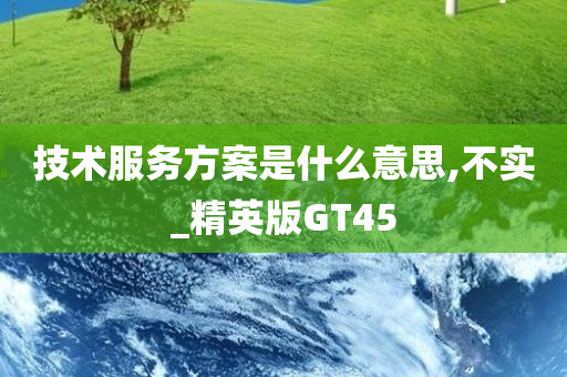 技术服务方案是什么意思,不实_精英版GT45