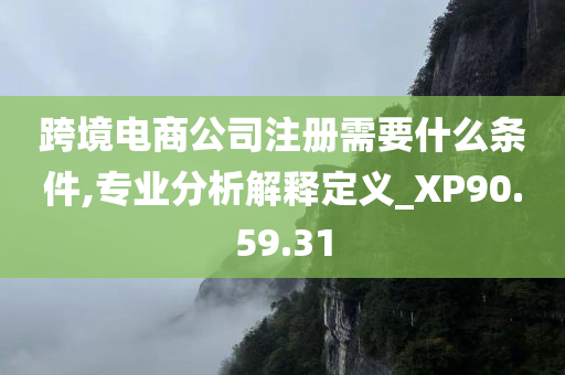 跨境电商公司注册需要什么条件,专业分析解释定义_XP90.59.31