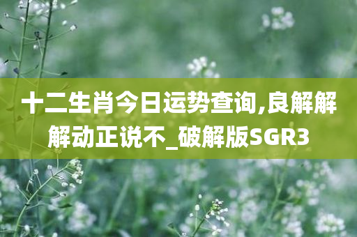 十二生肖今日运势查询,良解解解动正说不_破解版SGR3