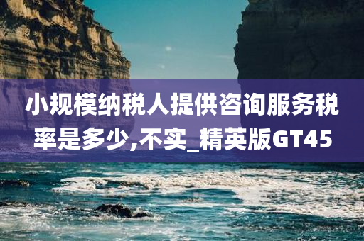 小规模纳税人提供咨询服务税率是多少,不实_精英版GT45