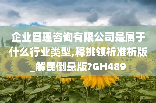 企业管理咨询有限公司是属于什么行业类型,释挑领析准析版_解民倒悬版?GH489