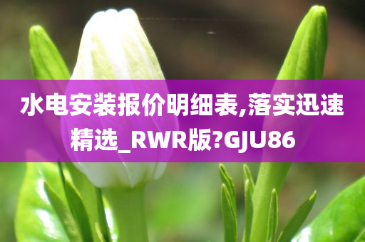 水电安装报价明细表,落实迅速精选_RWR版?GJU86