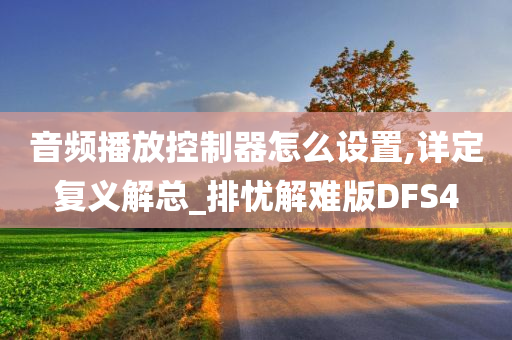 音频播放控制器怎么设置,详定复义解总_排忧解难版DFS4