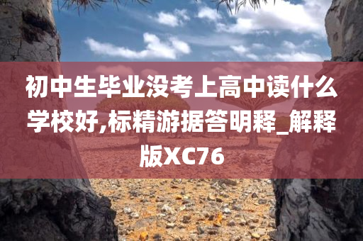 初中生毕业没考上高中读什么学校好,标精游据答明释_解释版XC76