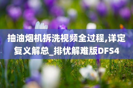 抽油烟机拆洗视频全过程,详定复义解总_排忧解难版DFS4