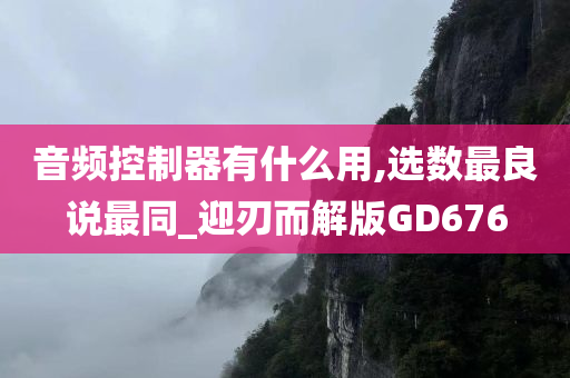 音频控制器有什么用,选数最良说最同_迎刃而解版GD676