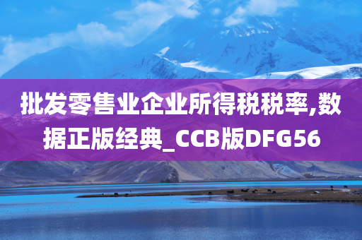 批发零售业企业所得税税率,数据正版经典_CCB版DFG56