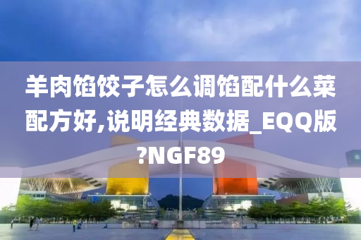 羊肉馅饺子怎么调馅配什么菜配方好,说明经典数据_EQQ版?NGF89