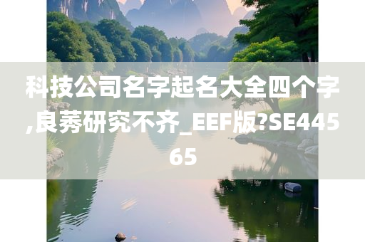 科技公司名字起名大全四个字,良莠研究不齐_EEF版?SE44565