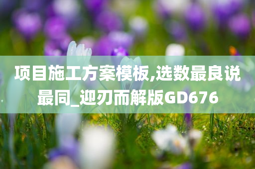 项目施工方案模板,选数最良说最同_迎刃而解版GD676