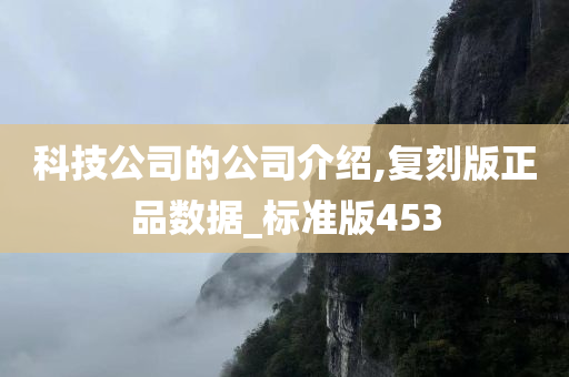 科技公司的公司介绍,复刻版正品数据_标准版453