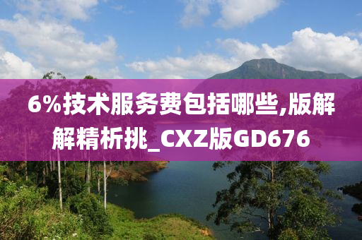 6%技术服务费包括哪些,版解解精析挑_CXZ版GD676