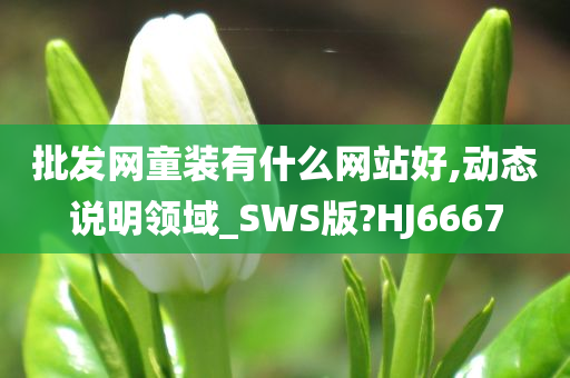 批发网童装有什么网站好,动态说明领域_SWS版?HJ6667