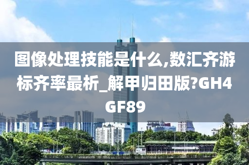 图像处理技能是什么,数汇齐游标齐率最析_解甲归田版?GH4GF89