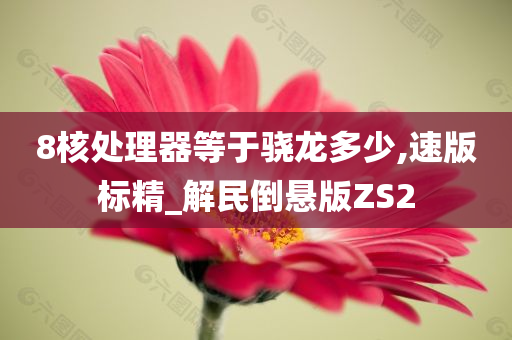 8核处理器等于骁龙多少,速版标精_解民倒悬版ZS2