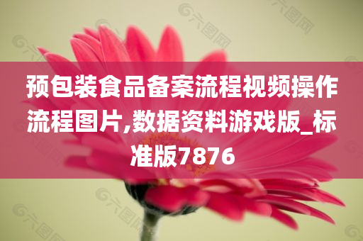 预包装食品备案流程视频操作流程图片,数据资料游戏版_标准版7876