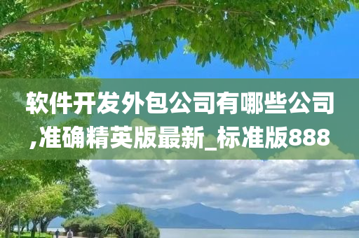 软件开发外包公司有哪些公司,准确精英版最新_标准版888