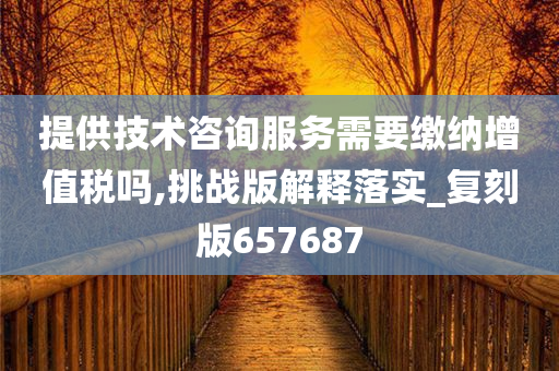 提供技术咨询服务需要缴纳增值税吗,挑战版解释落实_复刻版657687