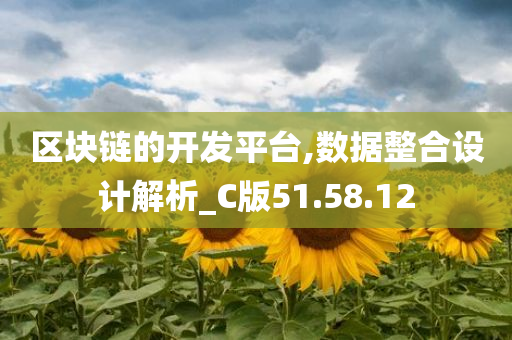 区块链的开发平台,数据整合设计解析_C版51.58.12